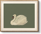 Framed Wall Art for Living Room, Swan Art Canvas Prints, Vintage Home Decor, Animals Painting Picture, Bathroom Wall Decor Gifts for Friends or Family - 12L x 10W
